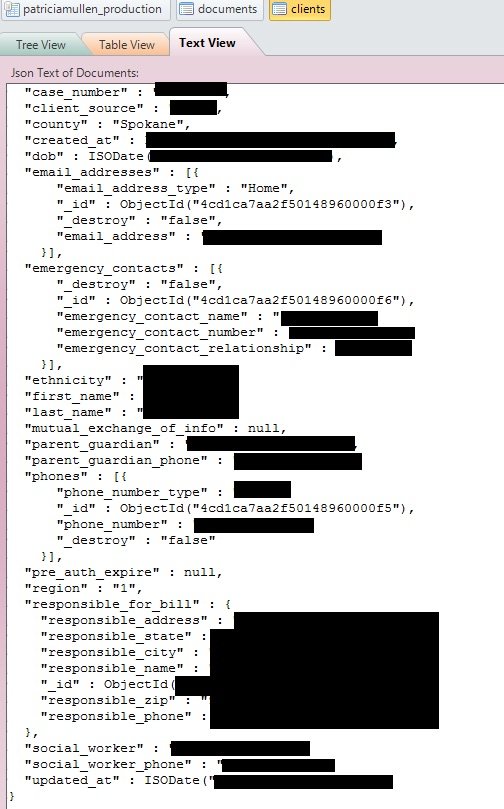 A client record found in a misconfigured database. Redacted by Chris Vickery. 
