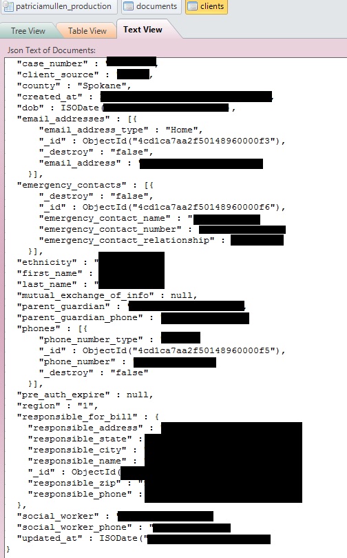 A client record found in a misconfigured database. Redacted by Chris Vickery.