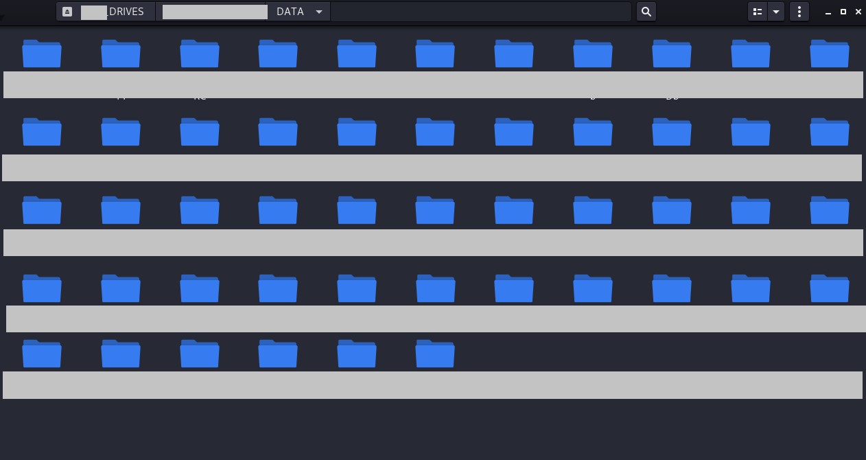 A screencap of one of Johnson's drives showing folder names. The names have been redacted.