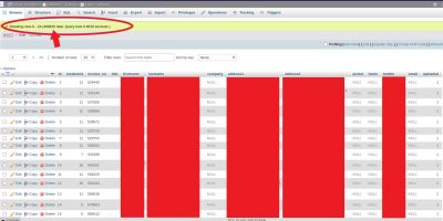 Vhive Customer Records